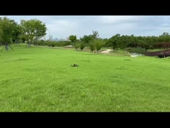 Drones de vuelo